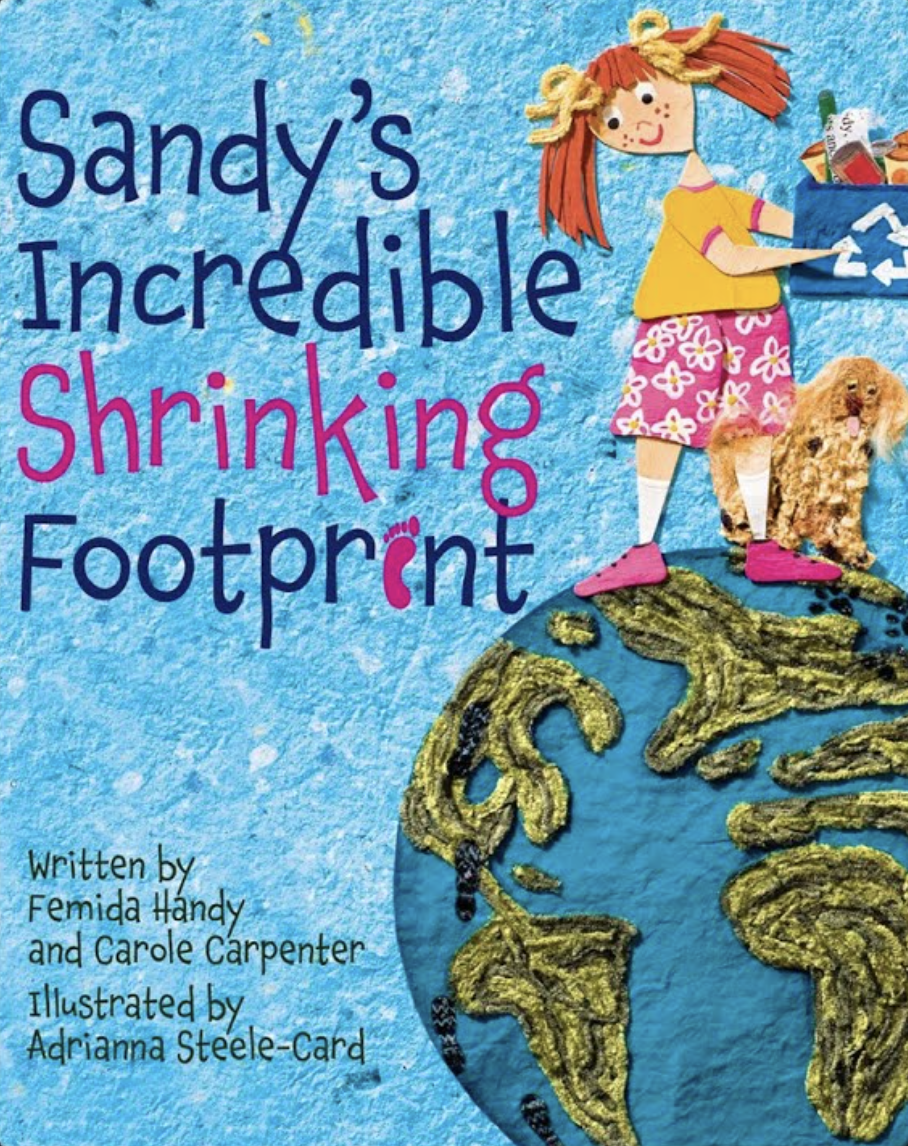 Cover of Sandy's Incredible Shrinking Footprint